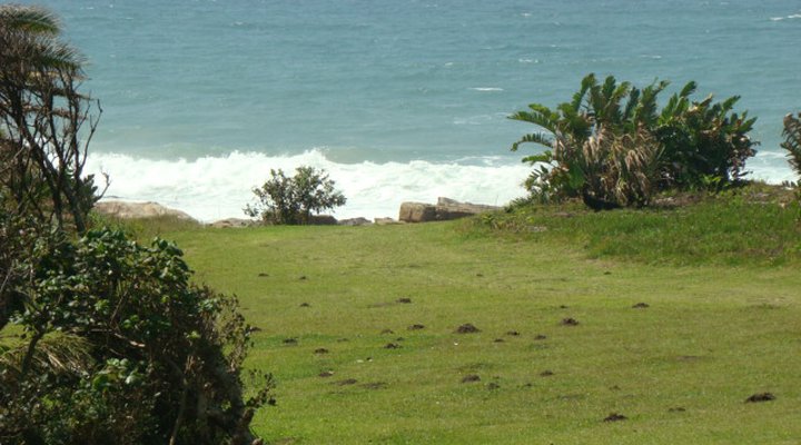 Joe Joe's Holiday Home