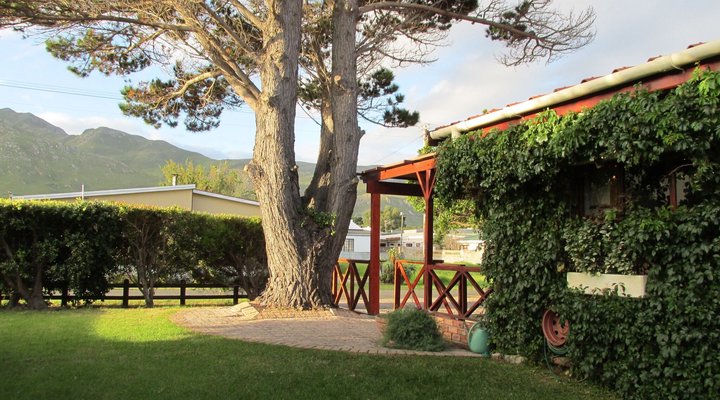 Pine Tree Cottage B&B