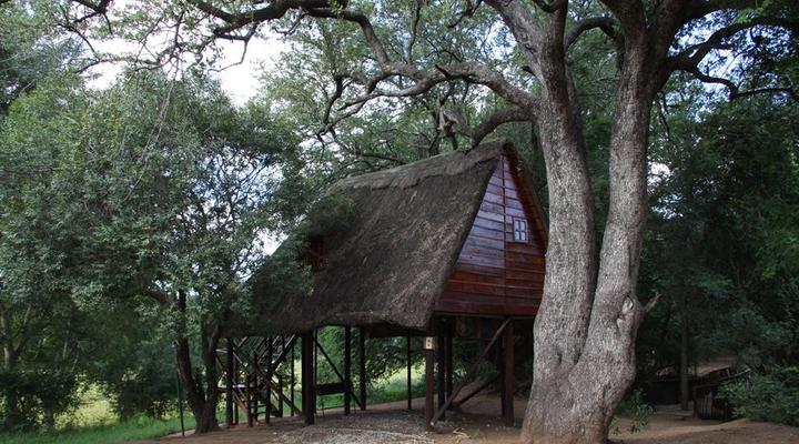 Ngulube Game Lodge