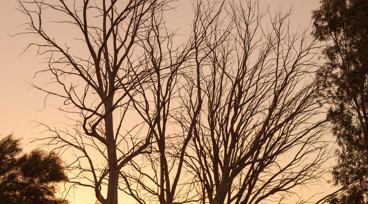 Asher Riverside Cottage