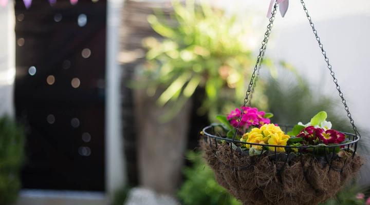 Con Amore Guesthouse