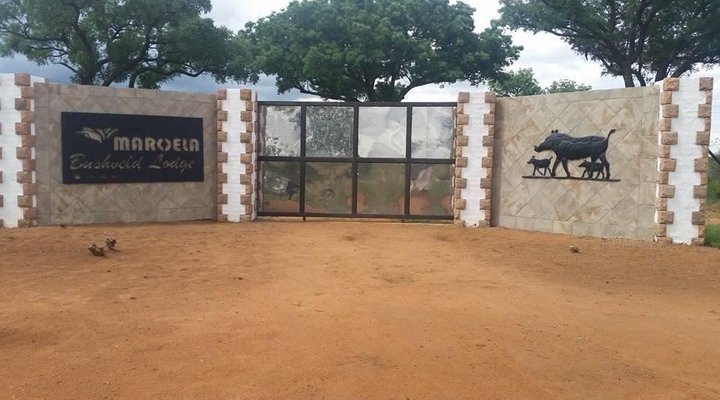 Maroela Bush Camp