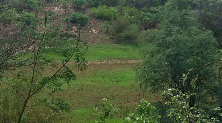 Thaba Lenaka Guestfarm