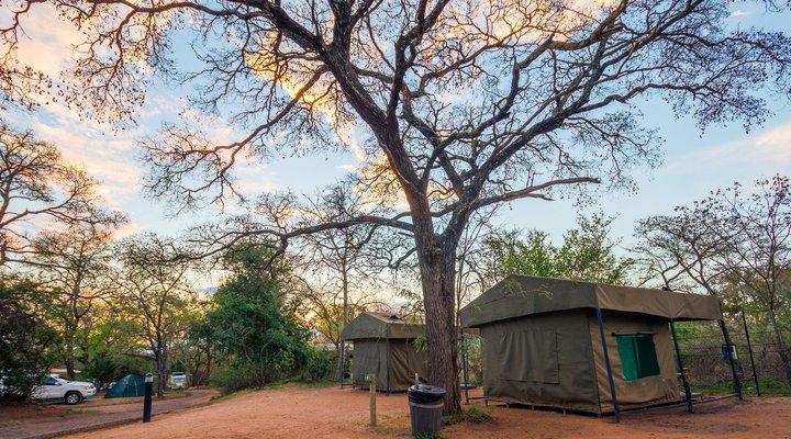 Tented Adventures Pretoriuskop