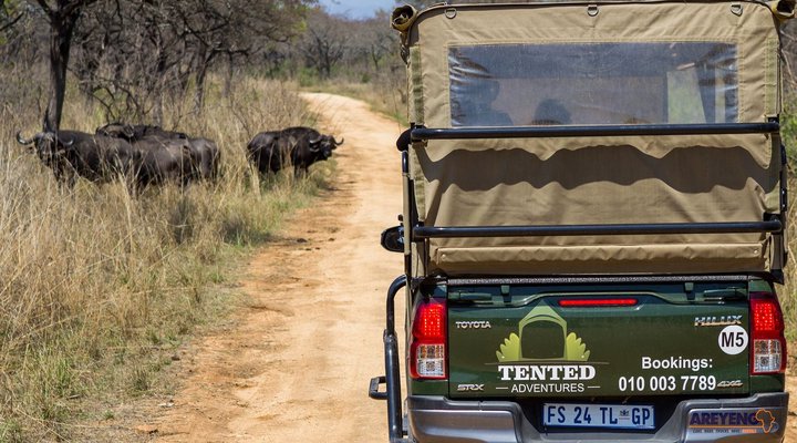 Tented Adventures Pretoriuskop