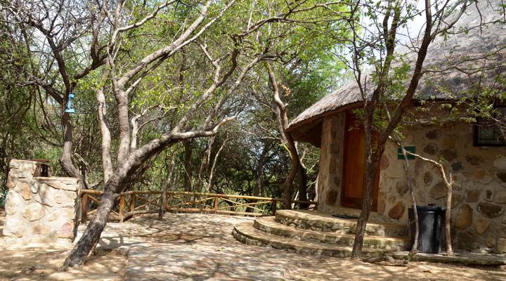 Moholoholo Mountain View