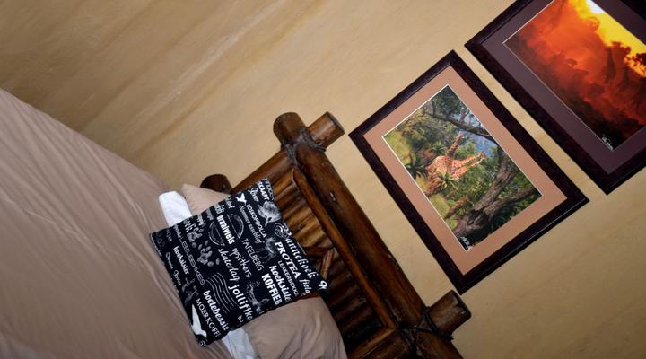 Moholoholo Mountain View