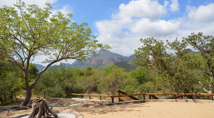 Moholoholo Mountain View