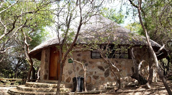 Moholoholo Mountain View