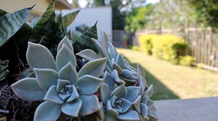 Green Fields Cottage