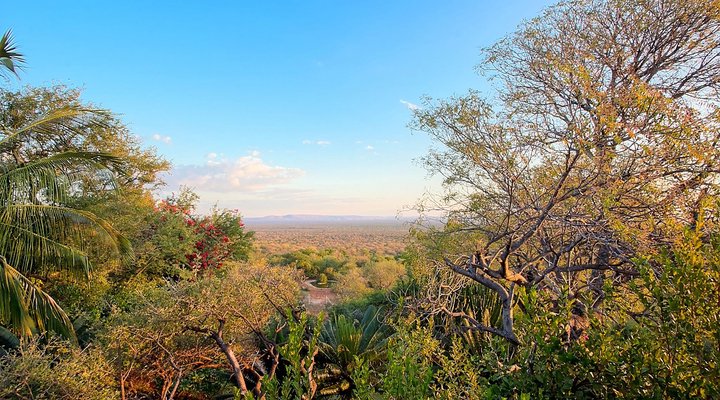 Ehlathini Lodge