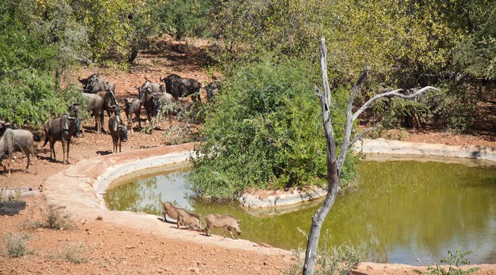 Ehlathini Lodge