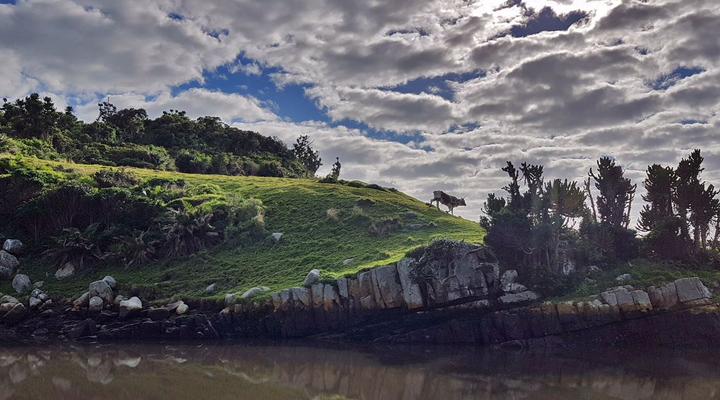 Coffee Bay Pop-Up Camp