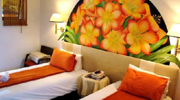 El Gecko Bed & Breakfast