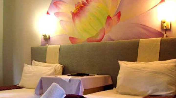 El Gecko Bed & Breakfast