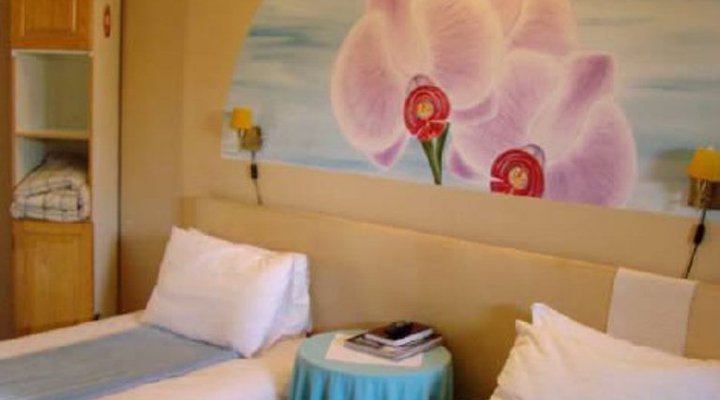 El Gecko Bed & Breakfast