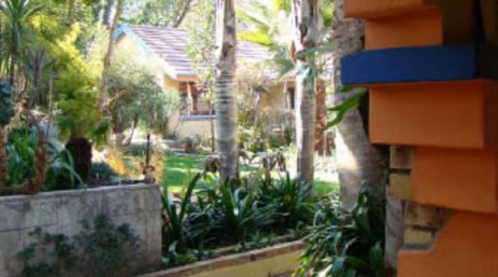 El Gecko Bed & Breakfast