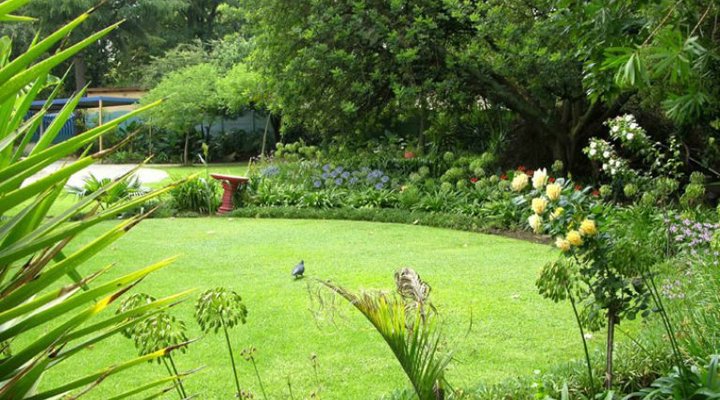 El Gecko Bed & Breakfast