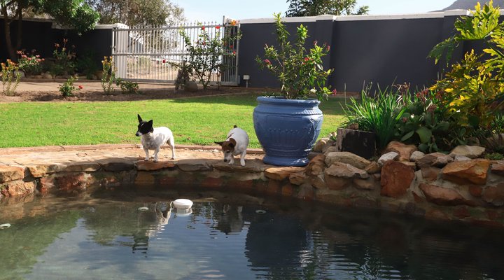 Makarios Holiday Home