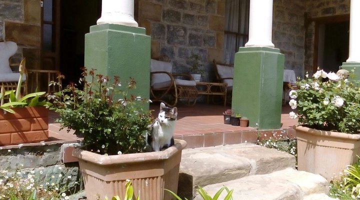 Goudhoek Farm Stays