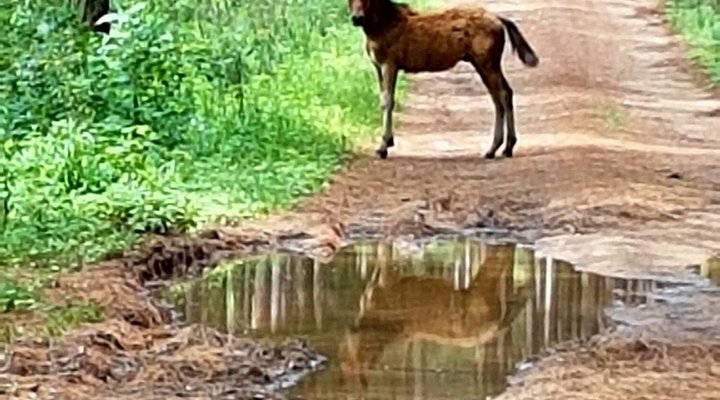 Mountain Haven Guest House