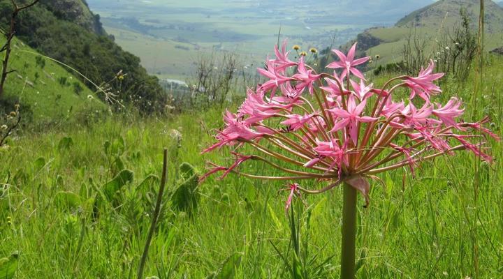 Verlorenkloof Croft 22 Syndicate