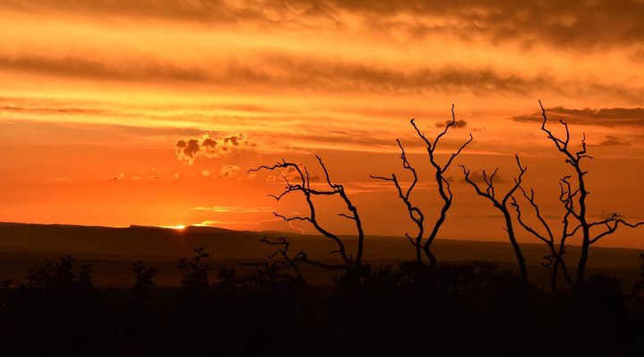 Itemoga Wildlife Reserve