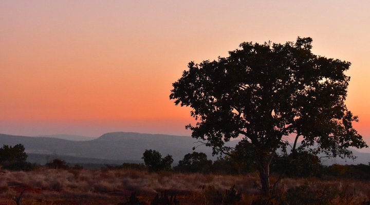 Itemoga Wildlife Reserve