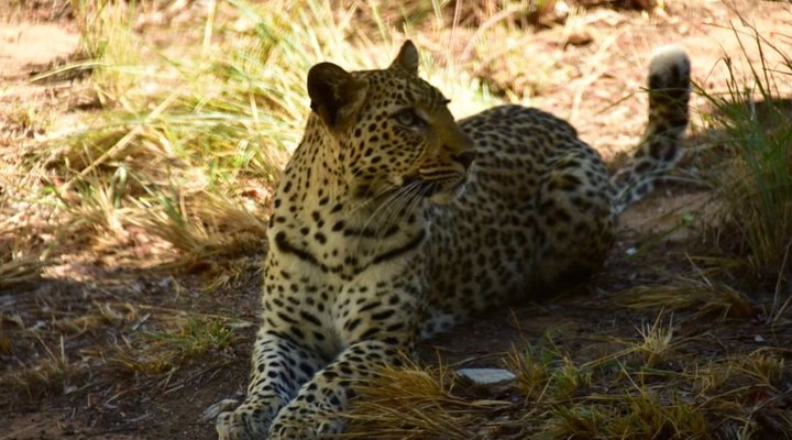 Itemoga Wildlife Reserve