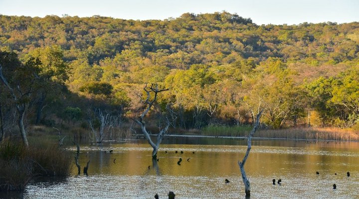 Itemoga Wildlife Reserve