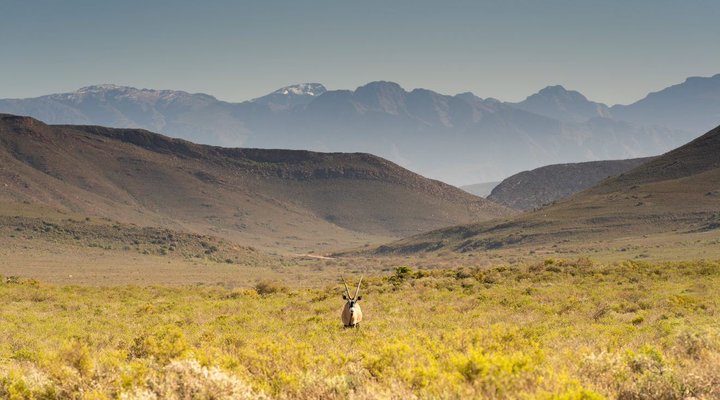 Amathunzi Private Nature Reserve