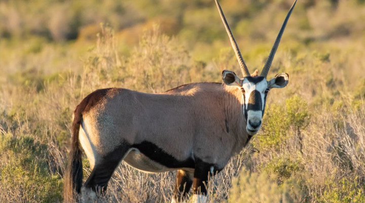 Amathunzi Private Nature Reserve
