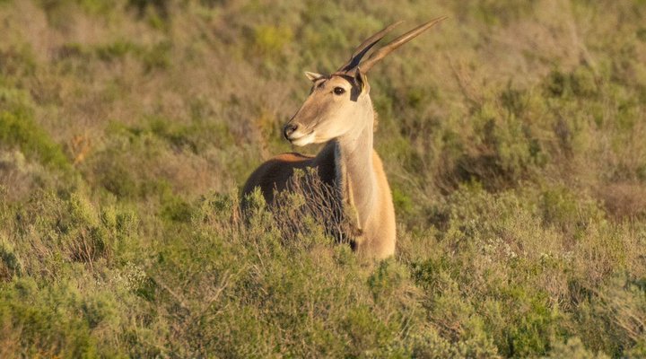 Amathunzi Private Nature Reserve
