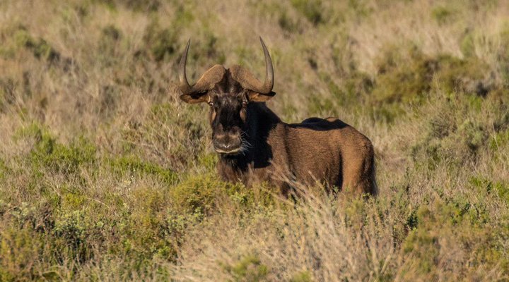 Amathunzi Private Nature Reserve