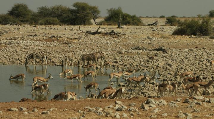 The Best of Namibia Part 1