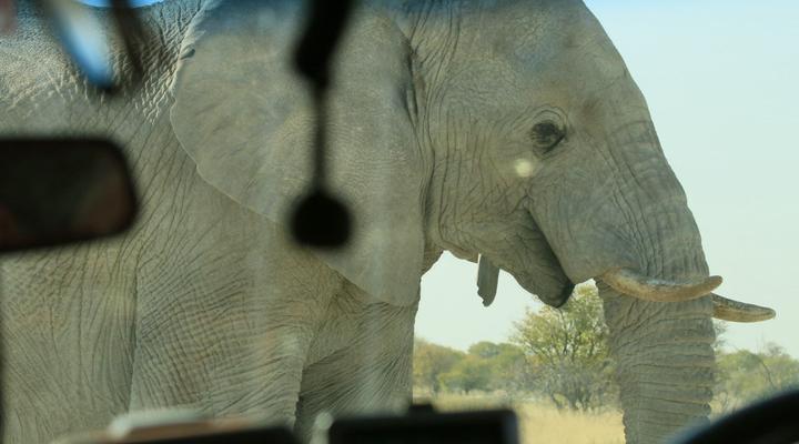 The Best of Namibia Part 1