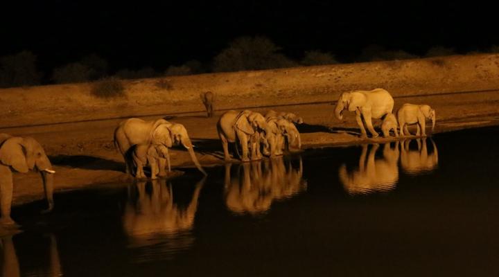 The Best of Namibia Part 1