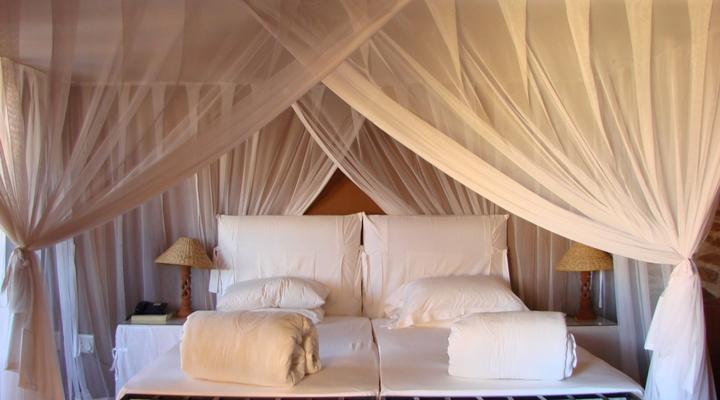 The Best of Namibia Part 1