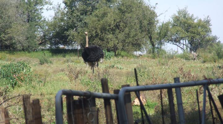 Klipfontein Game Reserve