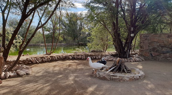 Zoetvlei Karoo Game & Guest Farm