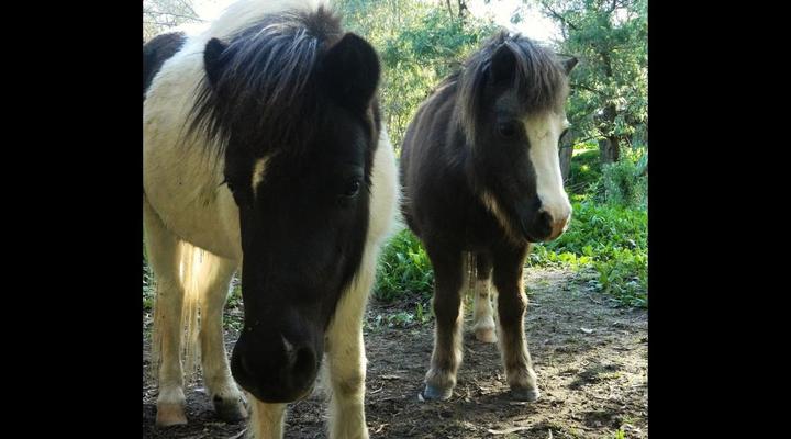 Groendraai Accommodation