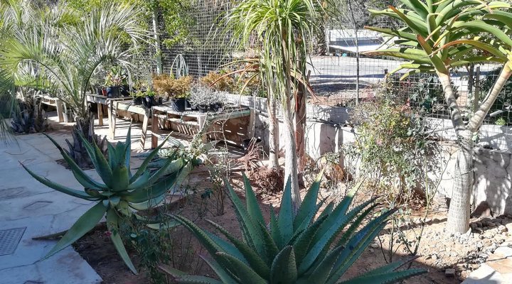 Herb Garden Restaurant and Rooms