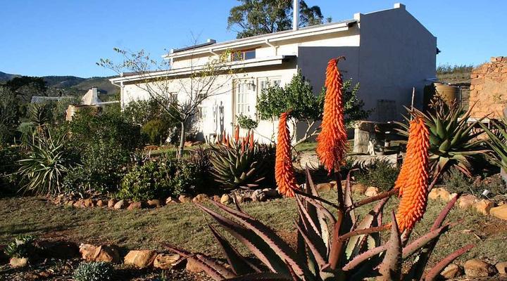 Langkloof Gallery And Sculpture Garden
