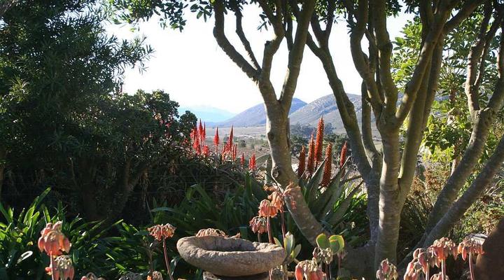 Langkloof Gallery And Sculpture Garden