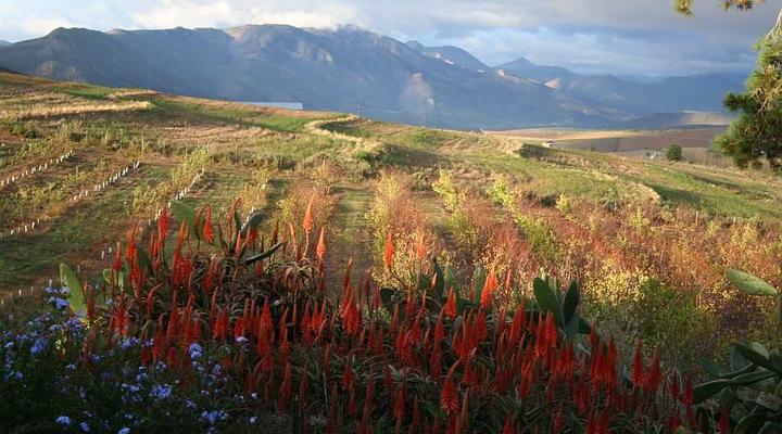 Langkloof Gallery And Sculpture Garden