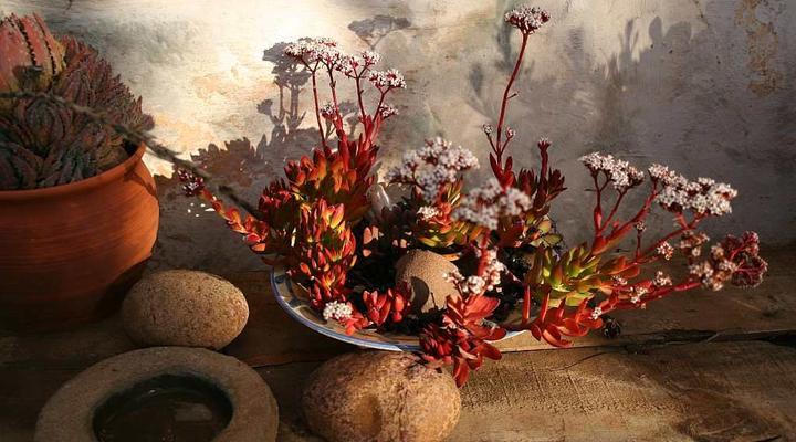 Langkloof Gallery And Sculpture Garden