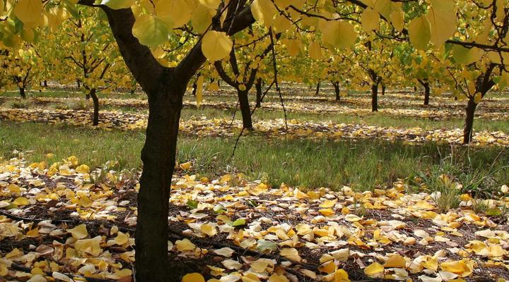 Langkloof Gallery And Sculpture Garden