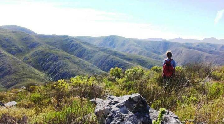 Langkloof Gallery And Sculpture Garden