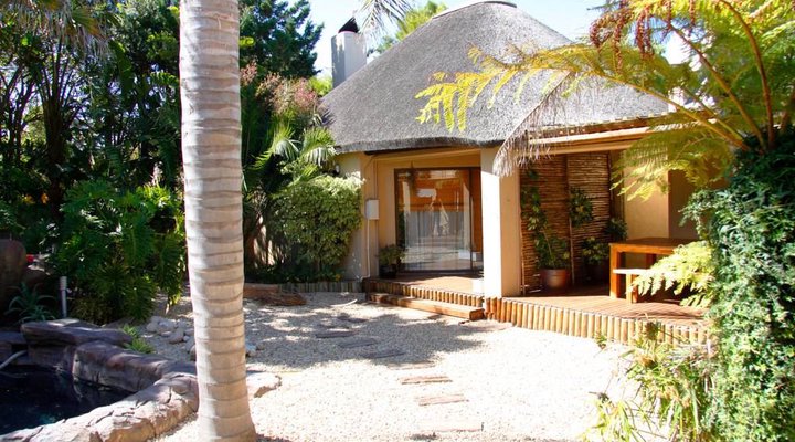 Thatched Studio Melkbos