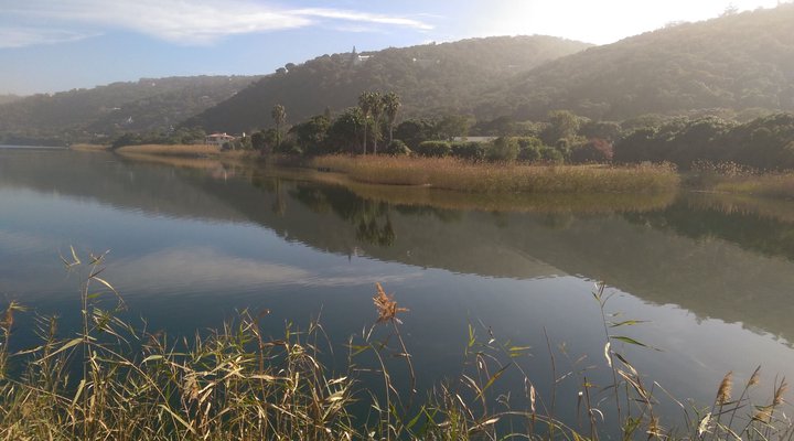 The Anchorage Wilderness